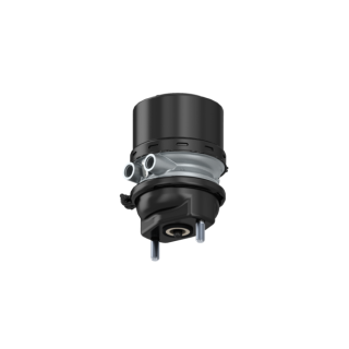 WABCO Tristop-Zylinder 9254864200