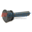 2x Stift, Kabine passend für IVECO...