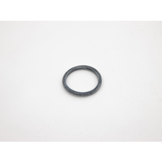 Ring-O-Ring IVECO 14463580