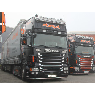 Rammschutz, Bullfänger, FrontBar, Truck Styling, LKW Scania von