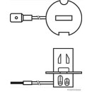 HERTH+BUSS ELPARTS 89901095 Glühlampe H3, 24 V, 70...