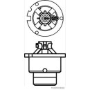 HERTH+BUSS ELPARTS 89901221 Glühlampe D2R, 85 V, 35...