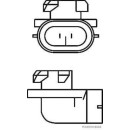 HERTH+BUSS ELPARTS 89901330 Glühlampe 886, 12V ,50...