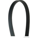 HERTH+BUSS JACOPARTS J1040820 Keilrippenriemen passend...