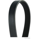 HERTH+BUSS JACOPARTS J1061700 Keilrippenriemen passend...