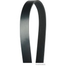 HERTH+BUSS JACOPARTS J1071588 Keilrippenriemen passend...