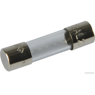 10x HERTH+BUSS ELPARTS 50295050 Sicherung Glas, F flink, 5 x 20mm, 2 A passend für Connect, FUTECO