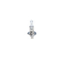 Glühlampe - Bosch 1 987 302 712 - 1987302712