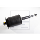 Stoßdämpfer - PE Automotive 033.293-00A