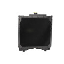 Kühler, Motorkühlung - THERMOTEC D7AG016TT