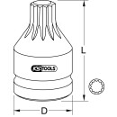 1/2" Kraft-Bit-Stecknuss XZN,kurz,M14 - KS Tools...