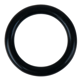 O-Ring - KS Tools 515.5410-R024P