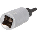 1/4" Bit-Stecknuss Torx, T8 - KS Tools 911.1448