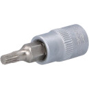 1/4" Bit-Stecknuss XZN, M4 - KS Tools 917.1541