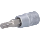 1/4" Bit-Stecknuss XZN, M5 - KS Tools 917.1542