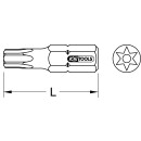 1/4" TORSIONpower Bit Torx, 25mm, TB40, mit Bohrung...