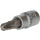 1/4" PZ Kreuzschlitz Bit-Stecknuss, PZ3 - Brilliant Tools BT020803