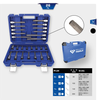 1/2" Bit-Stecknuss-Satz, 26-tlg, Vielzahn-Profil, XZN - Brilliant Tools BT022026