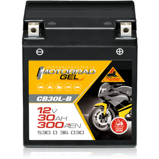 Panther Motorradbatterie 53036 mit GEL-Technologie 12V/30Ah LxBxH 168x132x175 mm