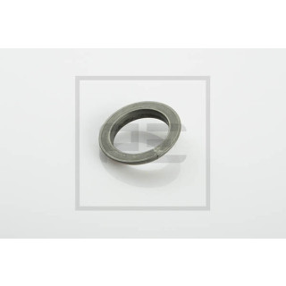 100x Zentrierring 20 x 31 x 6,0 passend für BPW, IVECO, MERCEDES-BENZ